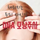 삼부의원 이미지