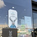 고릴라 | 군산 고릴라캠핑 후기 캠핑 신상장비 카즈미 추천 제품