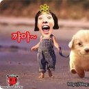 강쥐 Daum카페