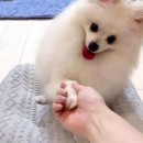 간식생각 - 거제시 | 간식생각