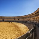 아름다운선 이미지