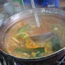 생태한마리 이미지