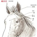 마스타승마클럽 이미지