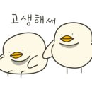 소포아 포터리