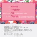 예가체프 이미지