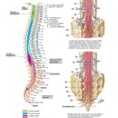 자세교정 필라테스 이미지