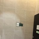 코티스 더 브릿지 이미지