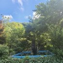 숲속의펜션 이미지