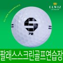 팔래스스크린골프