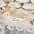 드루왕왕 이미지