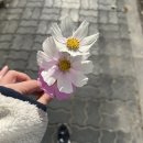 유앤이비인후과의원 | 내가 암일 줄은 몰랐지 (갑상선암 수술 후기)