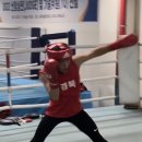 경희 복싱체육관 이미지