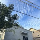 선흘초옥 이미지