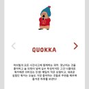 다이노탱 쿼카앤보보 인더우드 팝업ㅣ명동 라인프렌즈 스퀘어ㅣMD리스트 첨부, 너무 귀여워요