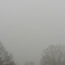 이리농장 이미지