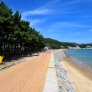 월포해수욕장야영장 이미지