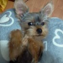 서울고덕초등학교 이미지