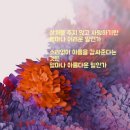 어은돌야영장 이미지