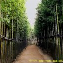 월곡공원 이미지