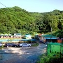 성주허스키켄넬 이미지