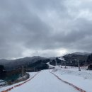 스키장 알바 자세한 후기 (with 베어스타운)