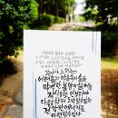 선지그리다 이미지