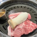 월촌도야지