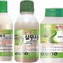 (주)태준바이오