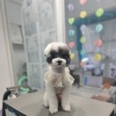 그 남자의 grooming # 공간 이미지