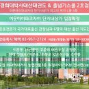 경희대박사 태산태권도 이미지