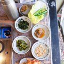 청계 | 곡성 맛집 &lt;청계참다슬기&gt; 다슬기백숙 후기