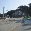 금광초교길 Daum카페