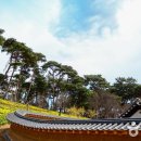 유기방가옥식당 이미지