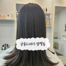 살롱드제일 | [경기/광주시] 살롱드제이 솔직후기 비오는날엔 매직하러가야지! 반려동물동반가능 미용실 휠체어가능...