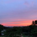 디톡스라이프 이미지