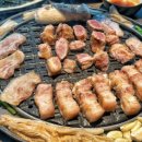 제주삼춘 티스토리