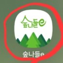 축령산 자연휴양림 예약 성공! 계곡 물놀이 숙소 후기