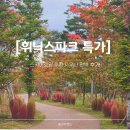 평창현대스위트빌리지 | [공지] 휘닉스파크 평창 특가 2025 겨울 얼리버드! 스카이로얄 숙박부터 루지·사우나 총정리