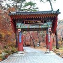 용문시장 체험코스 이미지