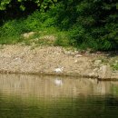 용문민박 이미지