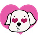 개순이상점 이미지