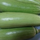 독천낭주골 이미지