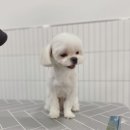 이뿌 미용실 이미지