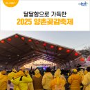 양촌 | 달달함 가득한 제23회 논산 양촌 곶감축제 방문 후기