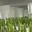 신 동원농장 이미지