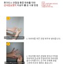 썬샤인브릿지 이미지