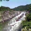 대흥자원 이미지