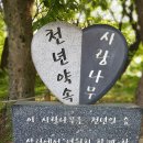 사랑나무유통 - 화순군 | 사랑나무유통