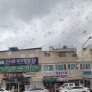 부탄가스 예초기를 구입했드아(LPG 예초기, TLG231S)