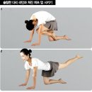 명품스트레칭 이미지